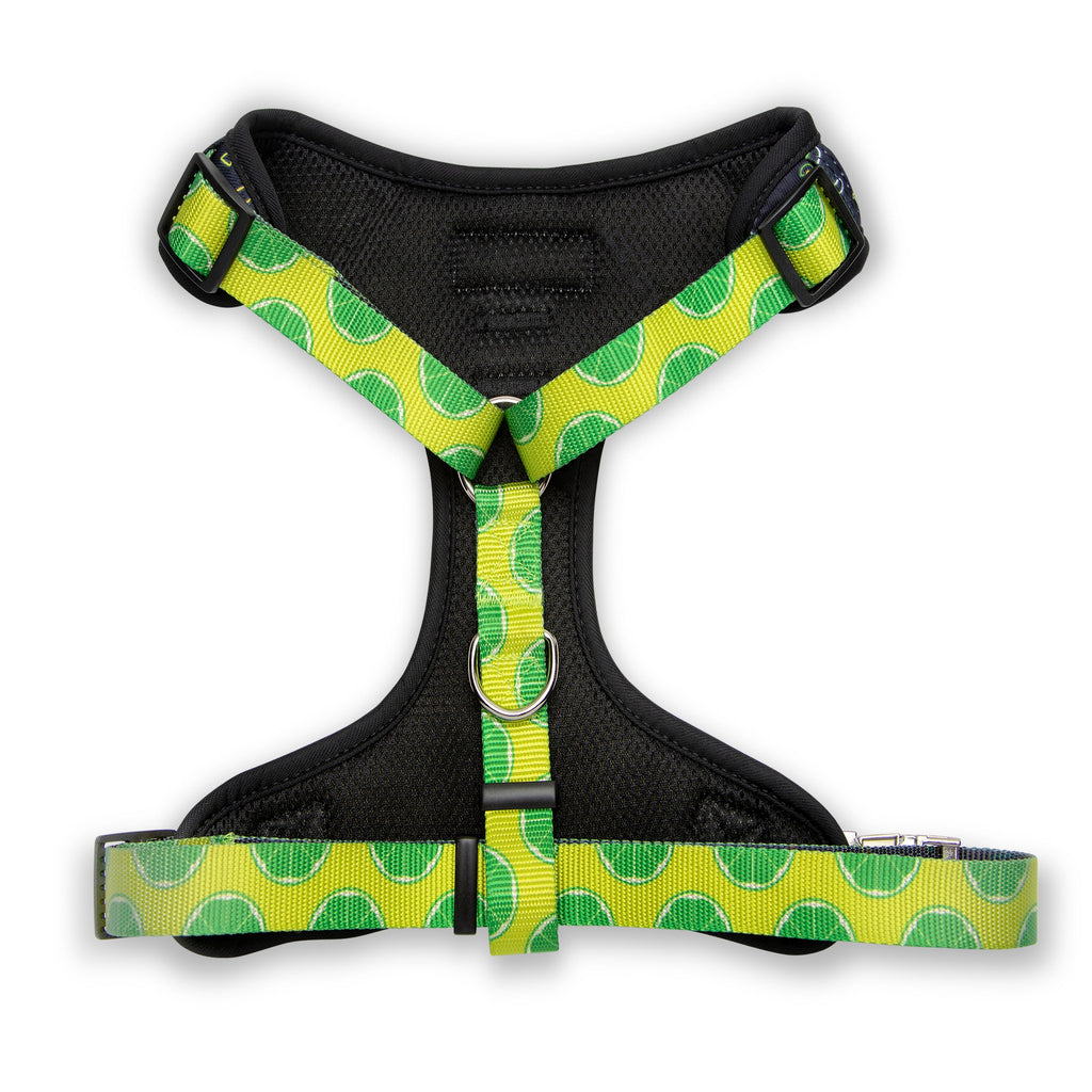 Retro Taco Tuesday Harness
