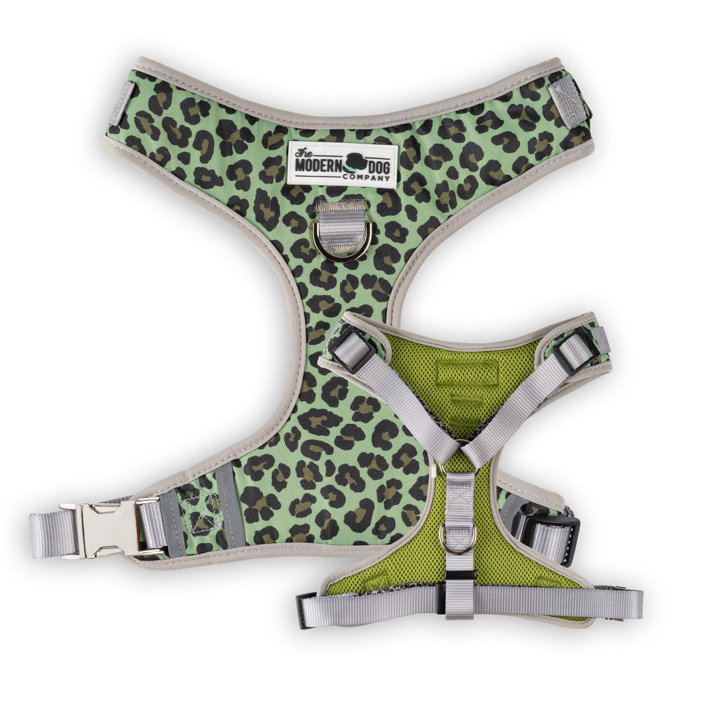 Walk on the Wild Side Harness