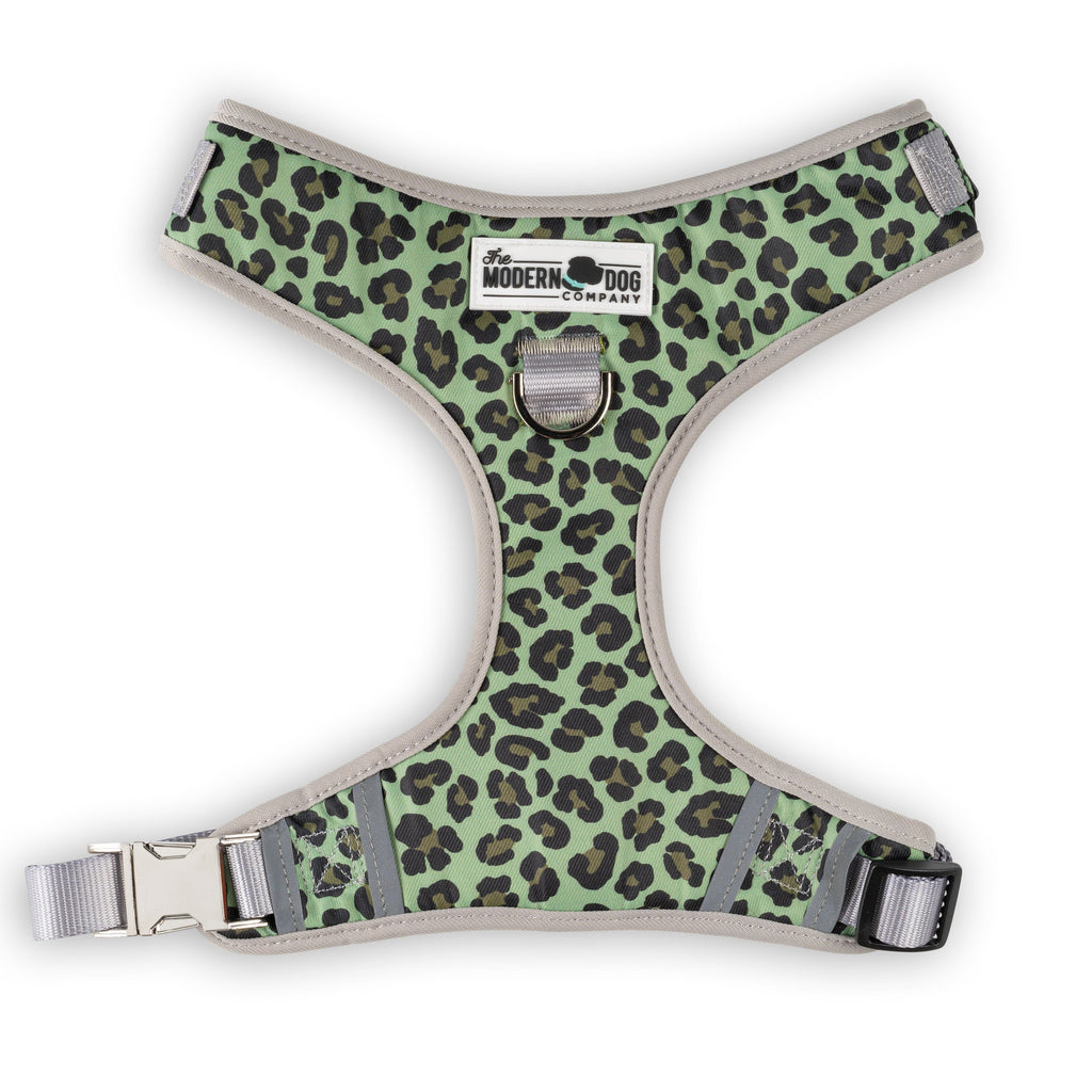 Walk on the Wild Side Harness