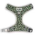 Walk on the Wild Side Harness