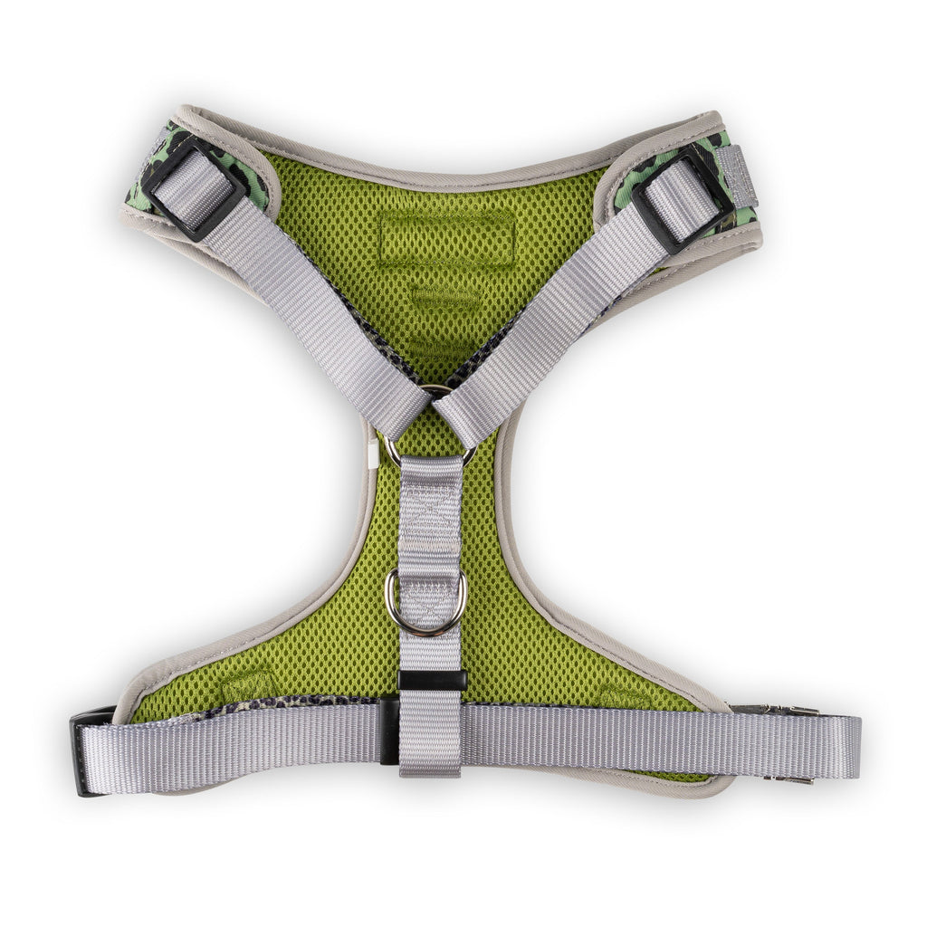 Walk on the Wild Side Harness