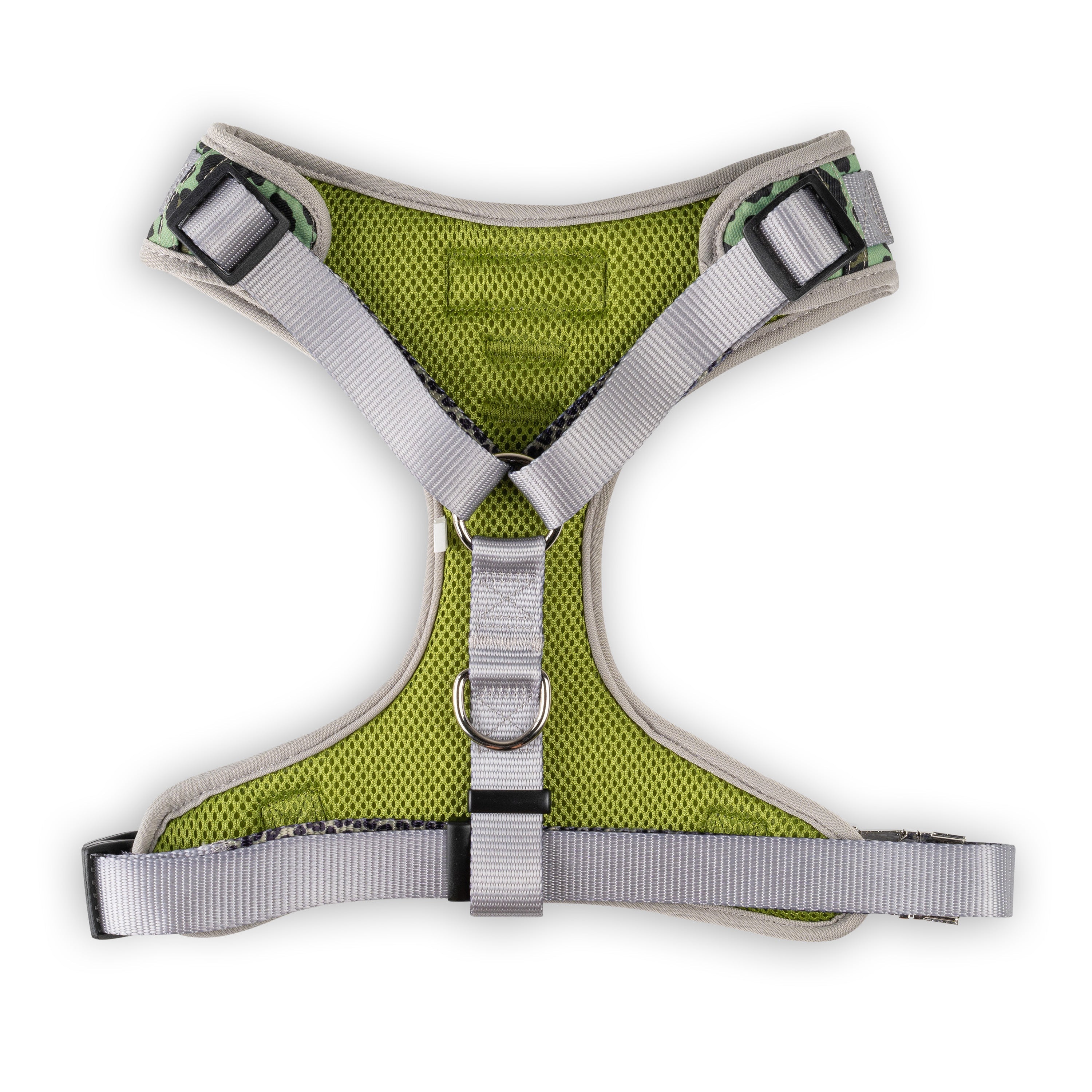 Walk on the Wild Side Harness
