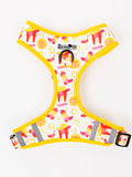 Yeehaw Harness