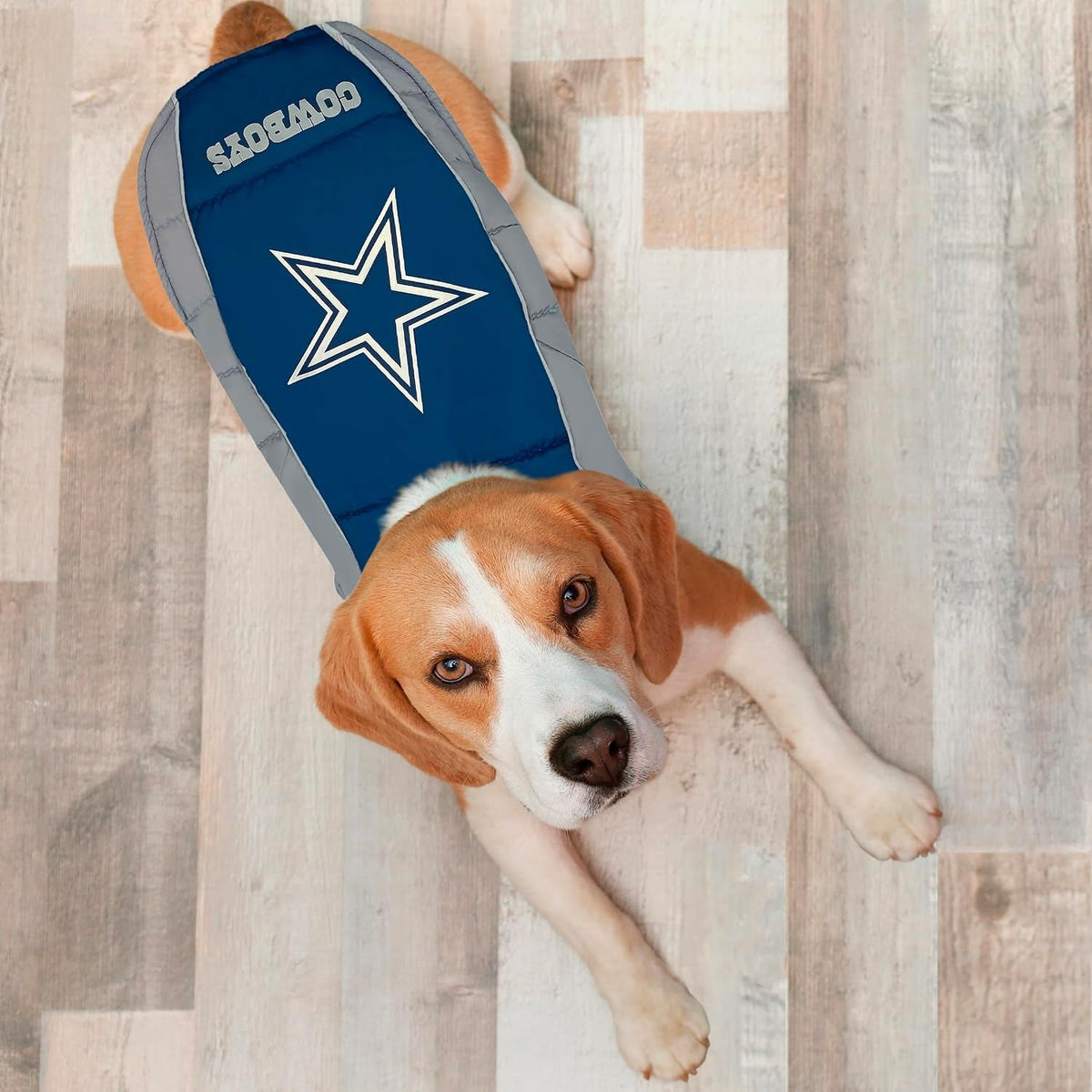 NFL Puffer Vest for Dogs & Cats – All Teams, XS–3XL